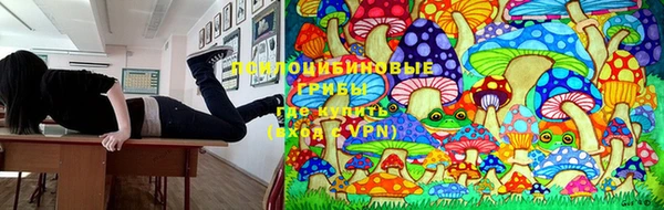 герыч Богородск