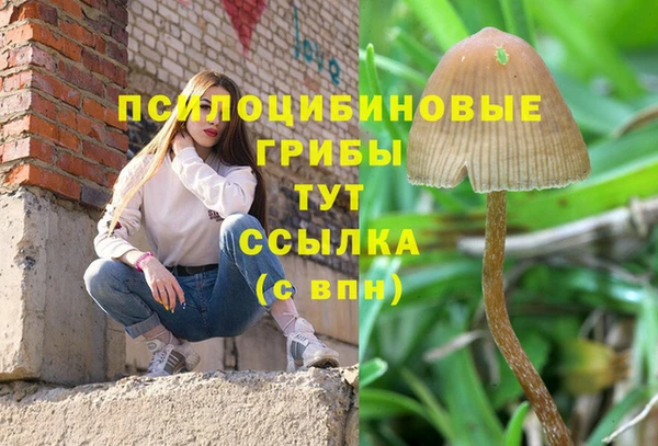 соль ск Богданович