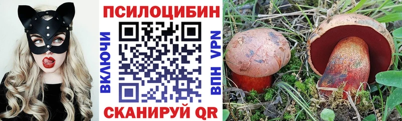 Псилоцибиновые грибы Magic Shrooms  Купить закладки  Россошь 